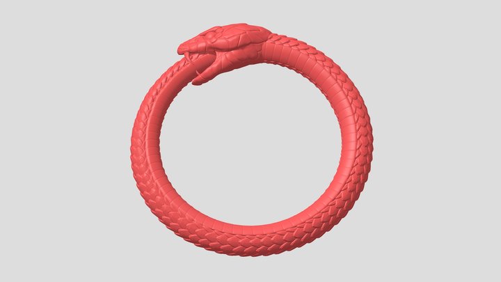 Snake Eating Its Own Tail 3D Print 3D Model