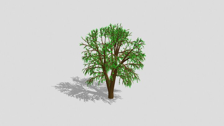 Tree 3D Model