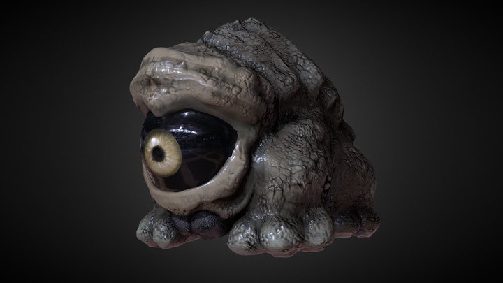 Eye Eye 3D Model