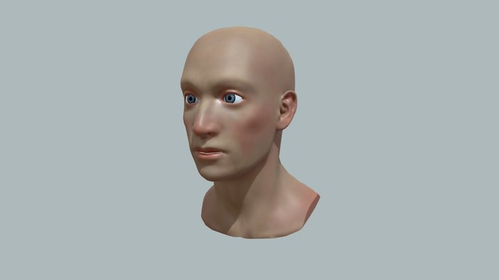 head 3D Model