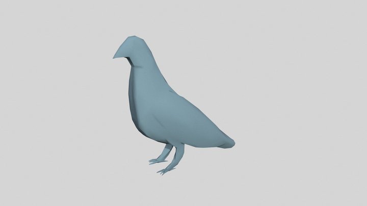 Low poly pigeon 3D Model