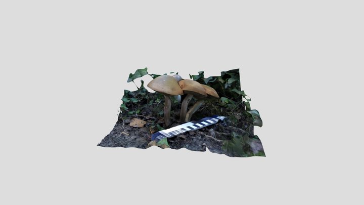 B Bolete 3 Kiri – Modello 3D gratuito STL