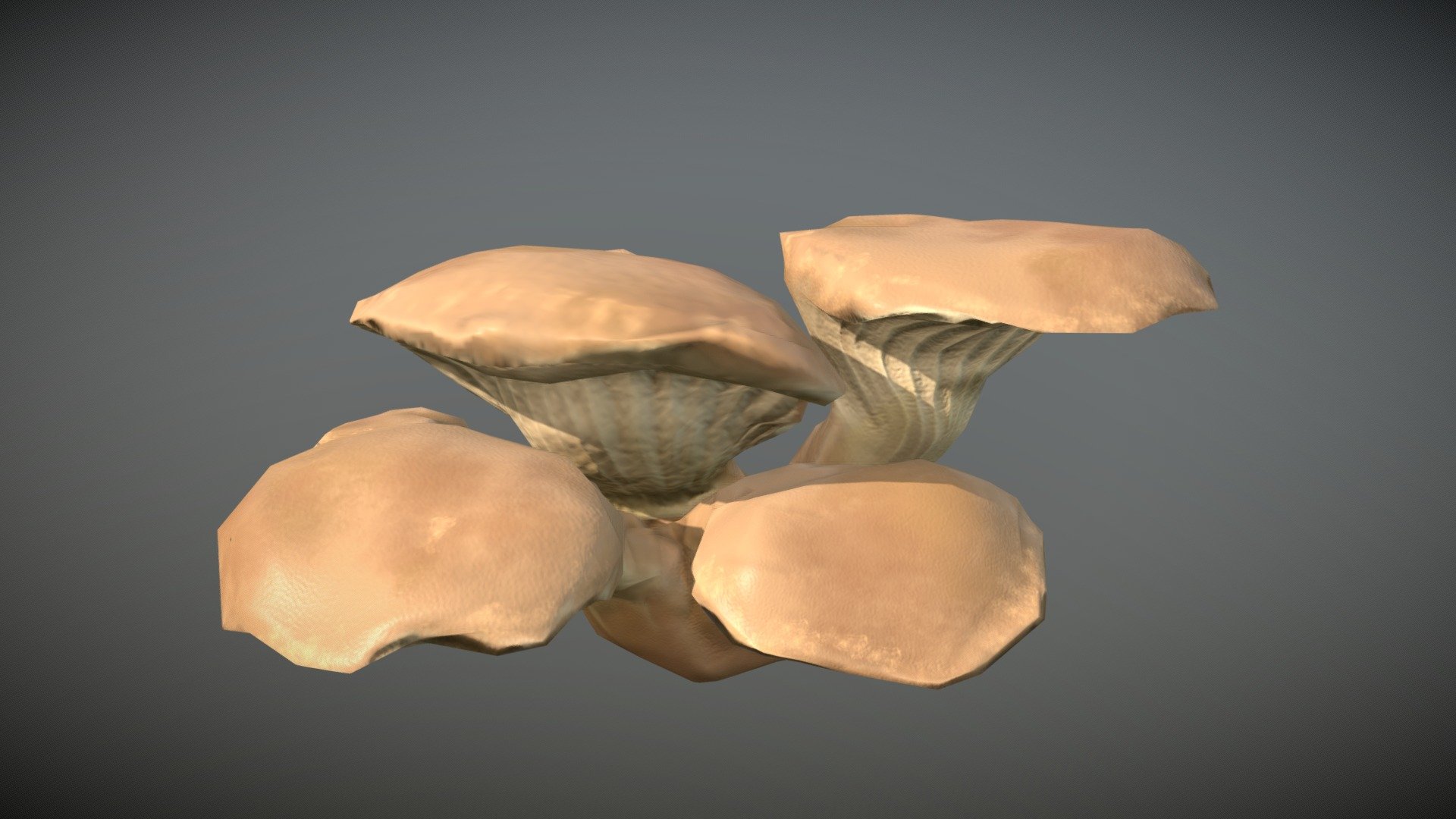 Oyster Mushroom - 3D model by Selvyn (@selvynbell) [51ecd7d] - Sketchfab