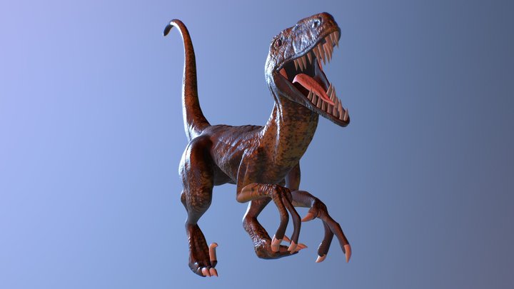 Velociraptor 3D Model