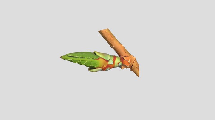 Sprouting Renewal 3D Model