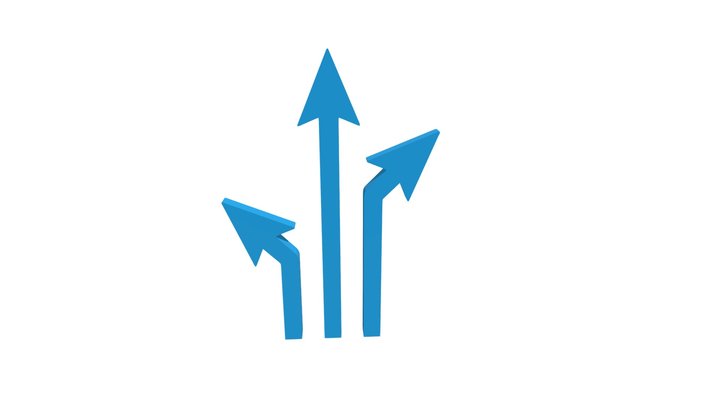Arrows Directions Line Icon Wayfinding Symbol