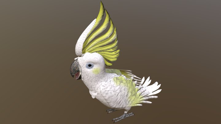 SulphurCrestedCockatoo001 3D Model