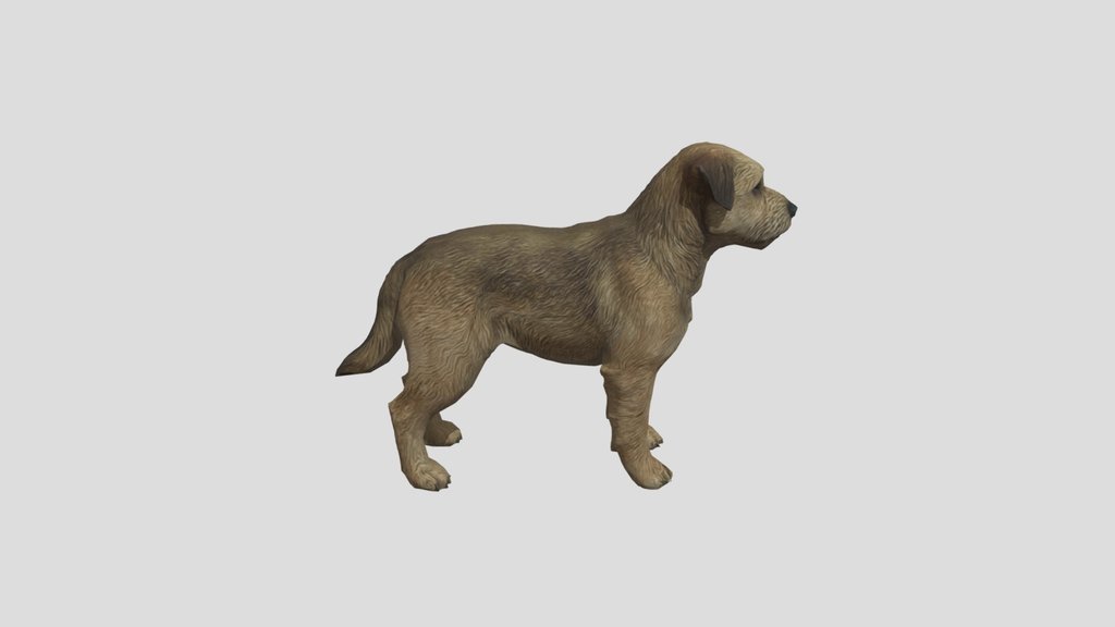 Realistic Terrier Dog - Game Ready Asset