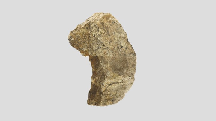 Nonotuck Stone Plowshare Photogrammetric Model 3D Model