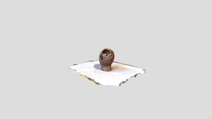 Braided Head 3D Model