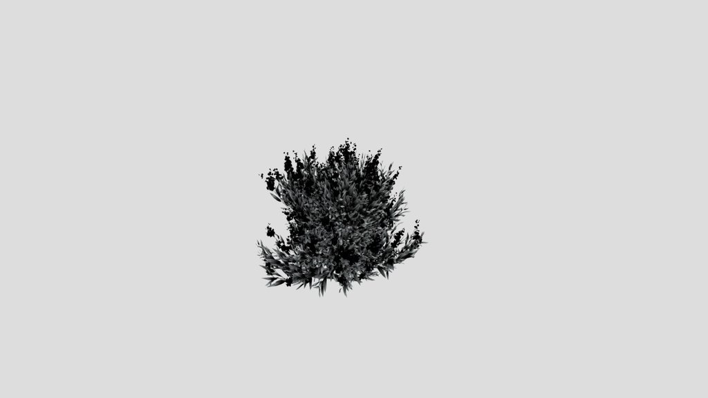 Shurb Caryopteris Bluebeard Animated