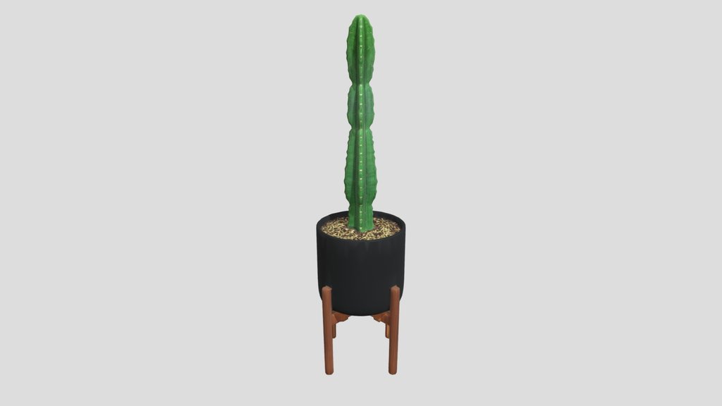Cactus_potted_obj