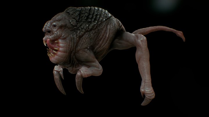 Jun bug 3D Model
