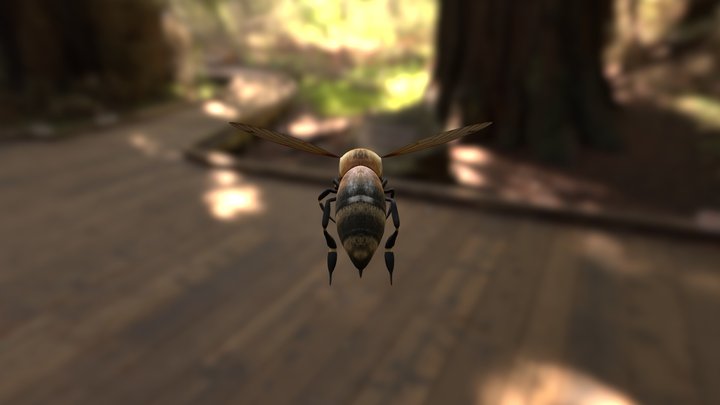 HoneyBee c4d fbx export 3D Model