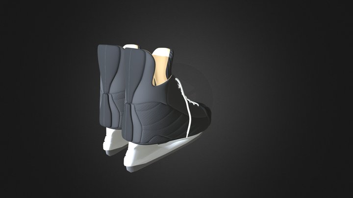 Skates 3D Model