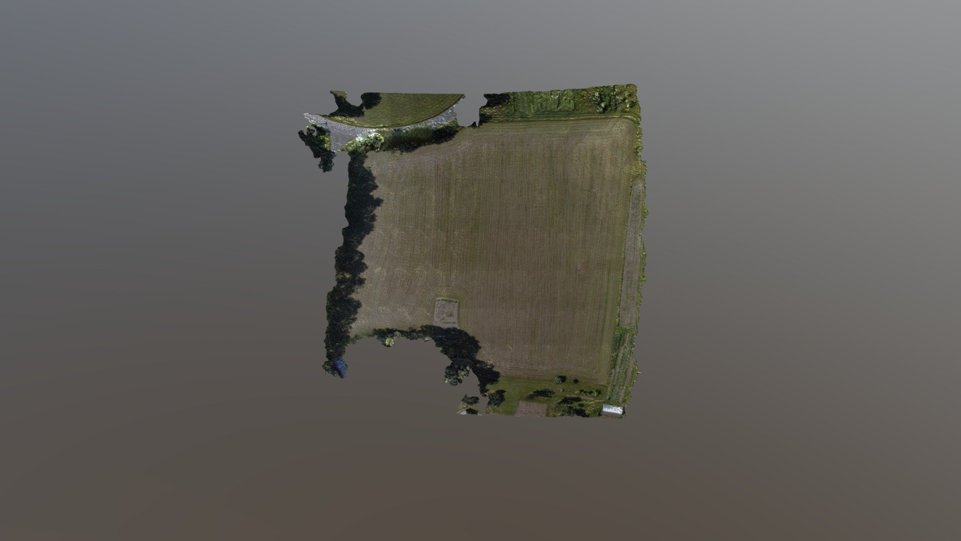 Grampas Field High Density