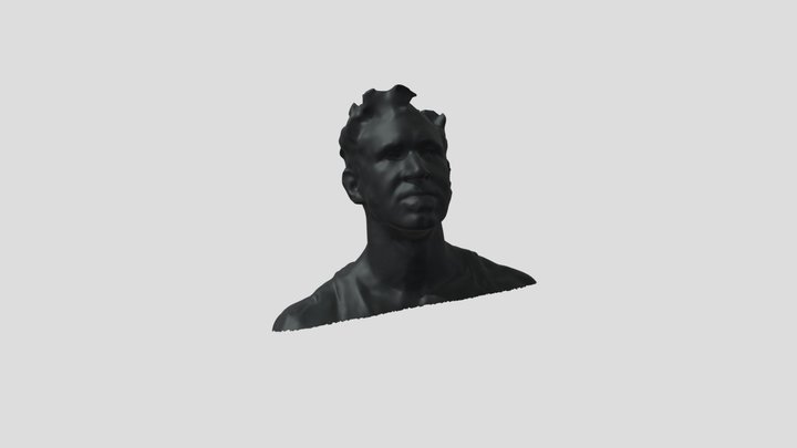 Bust_hipoly_kiri 3D Model
