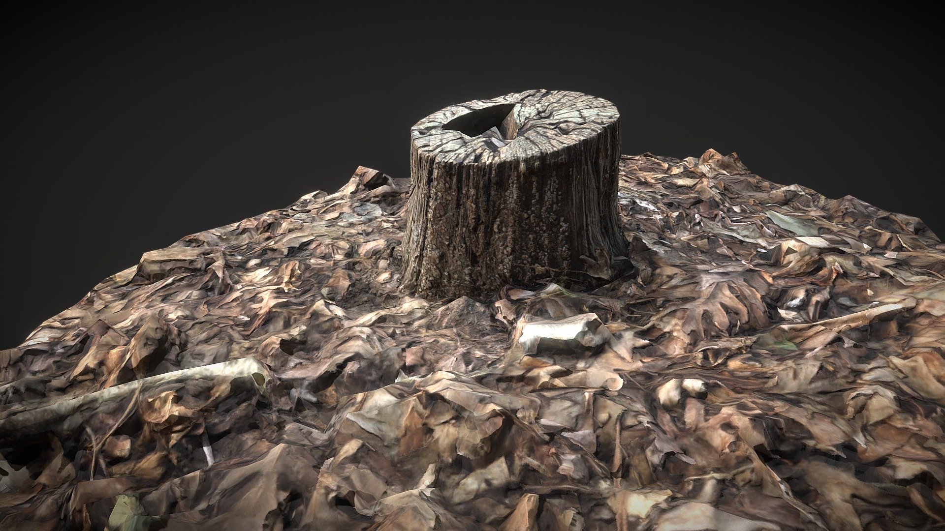 Stump Nature Scene (ReilNature)