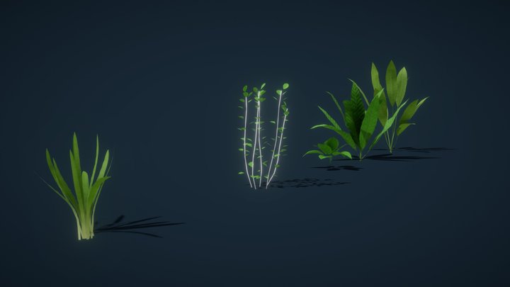 Aquatic Plants 3D Model