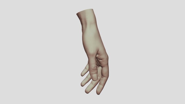 Hand E 3D Model