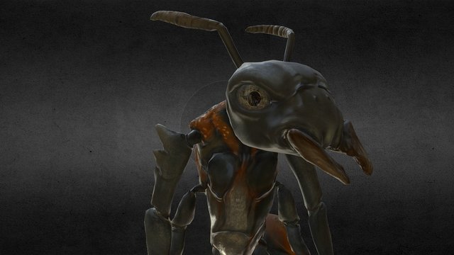 Ant Character (Idle Animation) 3D Model