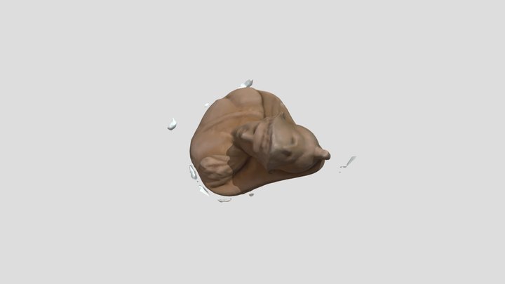 cameo 3D Model