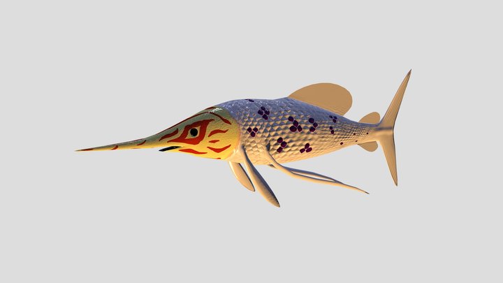 Prehistoic Swordfish: Protosphyraena 3D Model