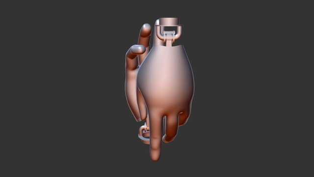 Hand w/ Wrist Joint 3D Model