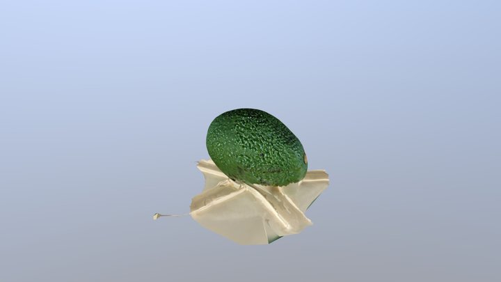 Avocat 3D Model