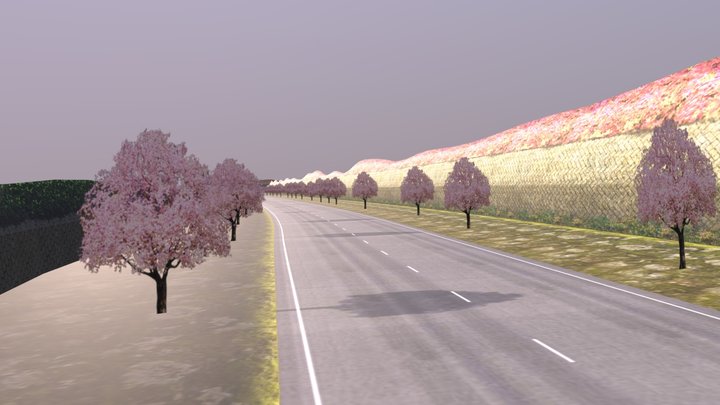 Cherry Mountain - Super Drift 3D 3D Model