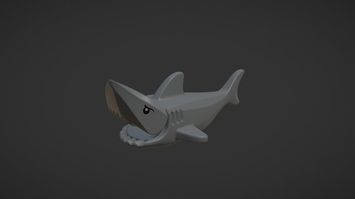 Shark Model 3D Model