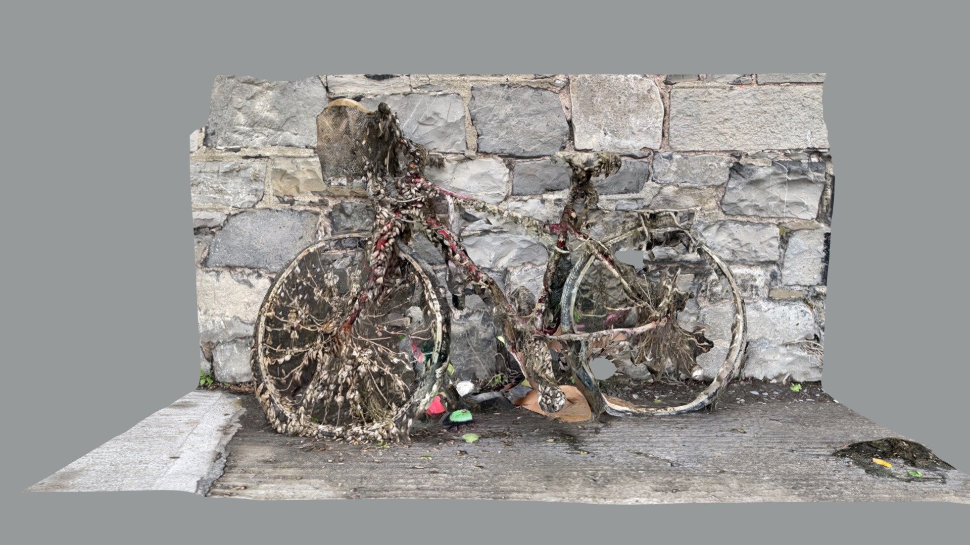 Rescued bike