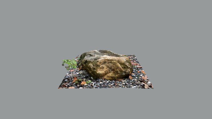 Rock01 3D Model