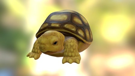 Stylised grumpy Tortoise 3D Model