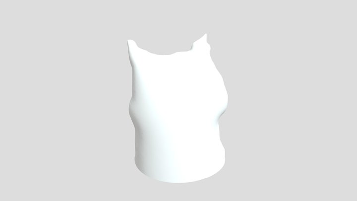 cat 3D Model