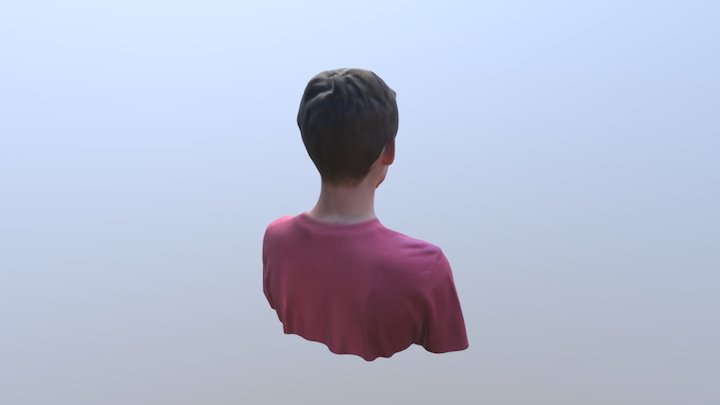 New Skanect Model 3D Model