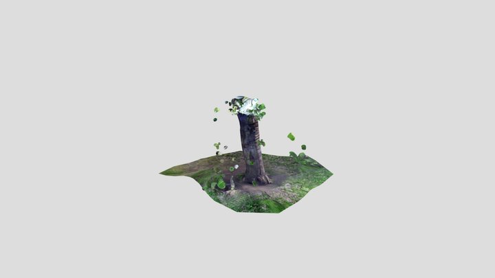 3d scan woodman 3D Model