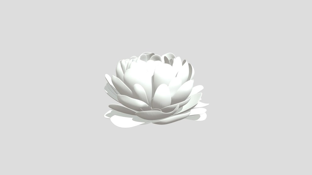 Flower Jasminum Sambac