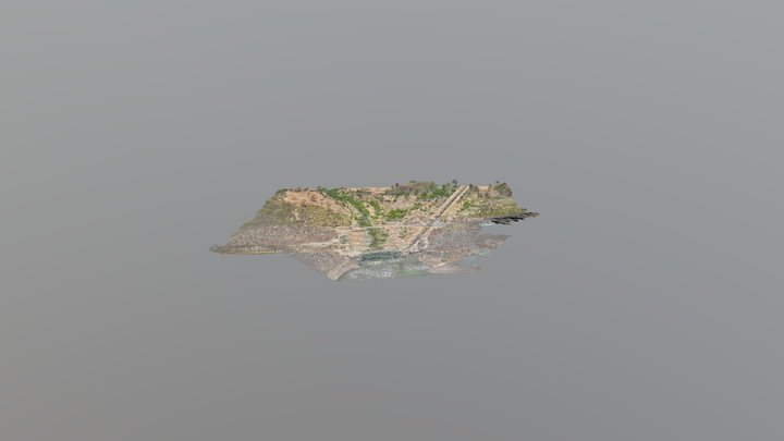 Mahan_ Pix4D_dsm_100cm 3D Model