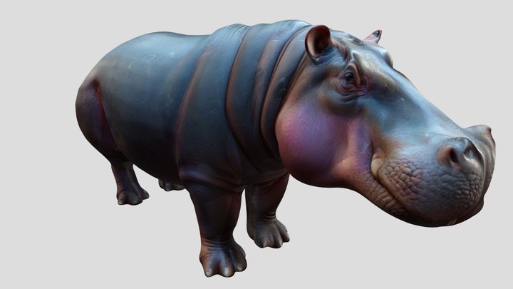 Hippo - animal – Kostenloses 3D-Modell STL
