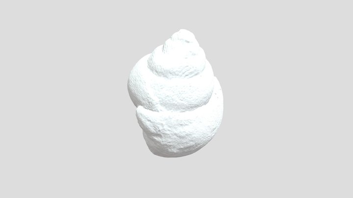 Gasteropodo 3D 3D Model