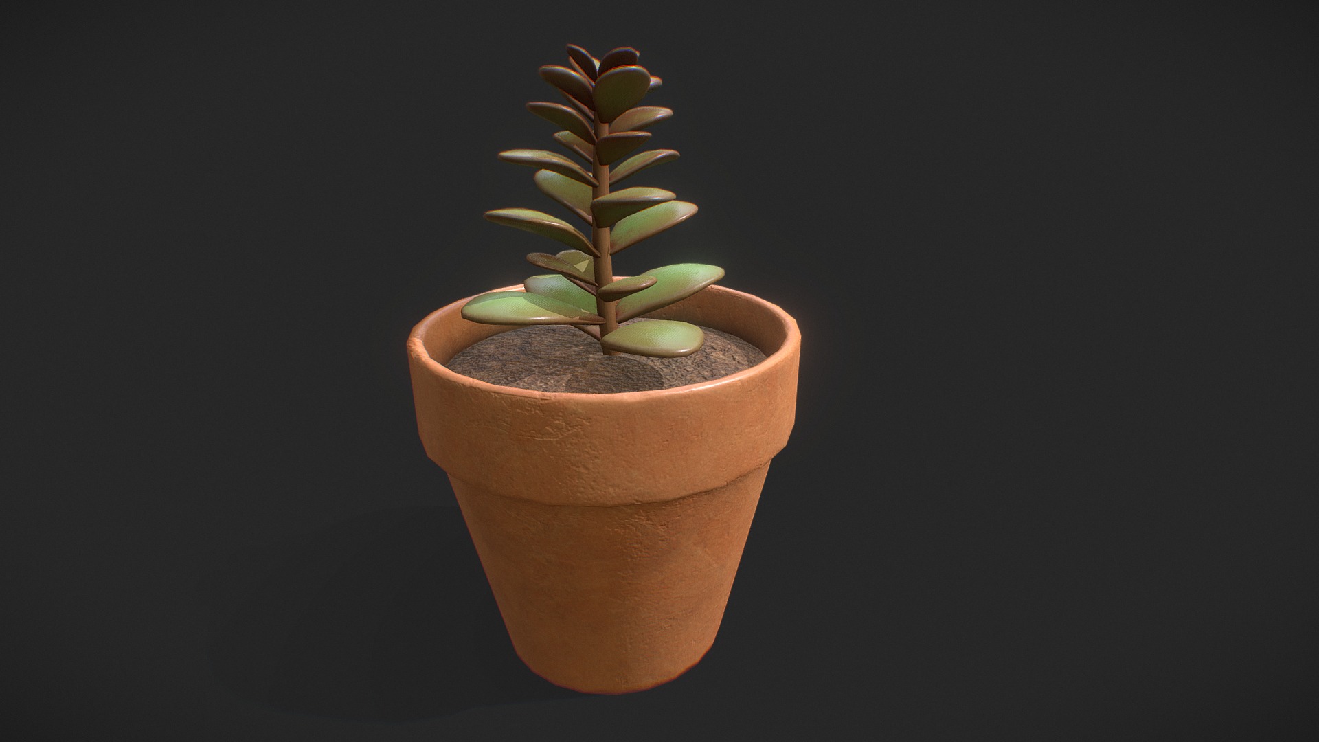 3D model Succulent plant - This is a 3D model of the Succulent plant. The 3D model is about a plant in a pot.