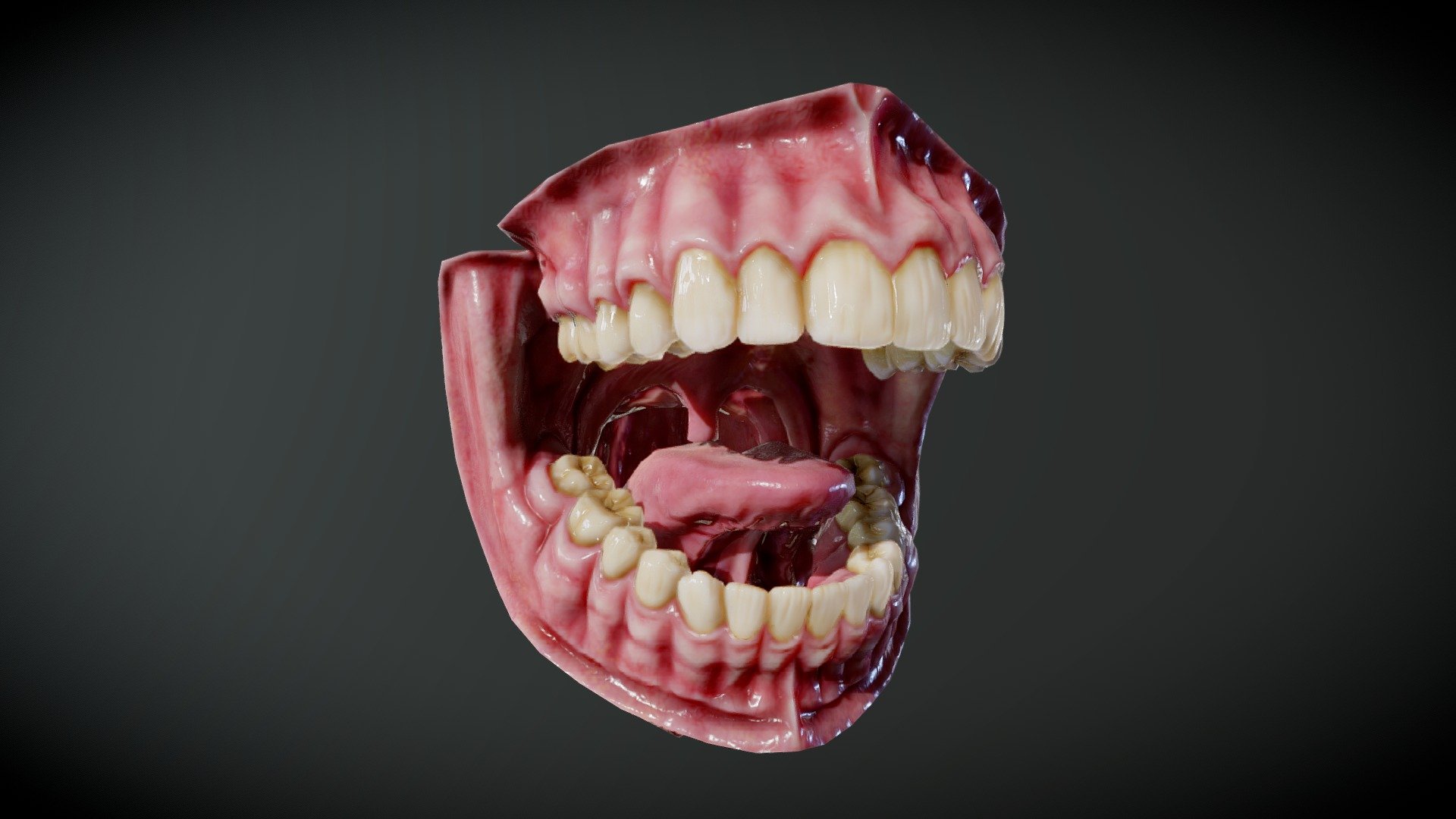 Human Mouth Detailed Download Free 3d Model By Mince [522eda0