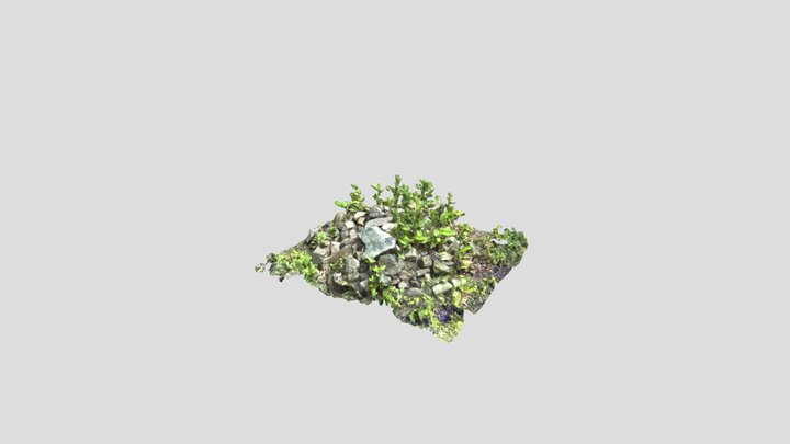 Rocks & plants 3D Model