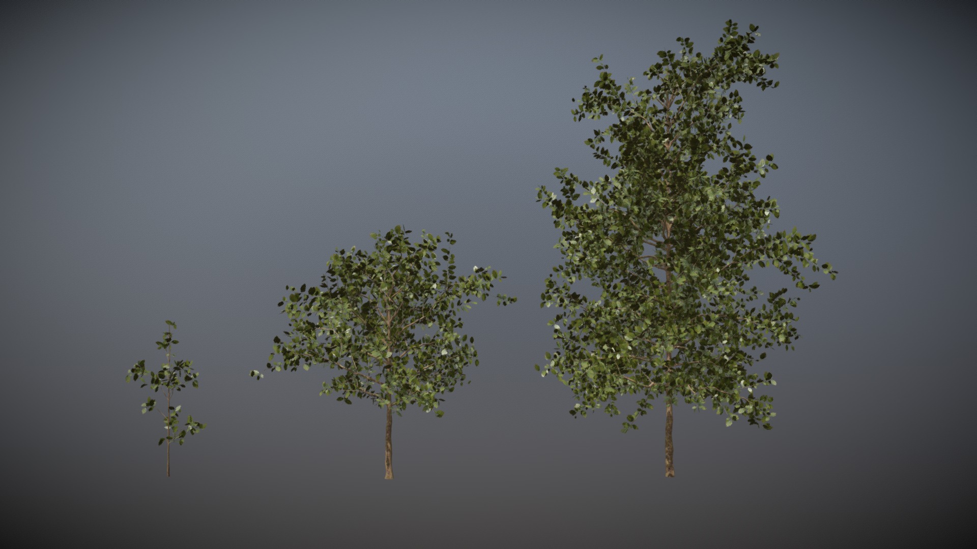 3D model Tree Pack A - This is a 3D model of the Tree Pack A. The 3D model is about a group of trees.
