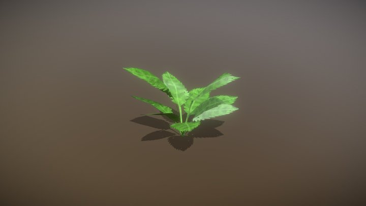 Plant 3D Model 3D Model