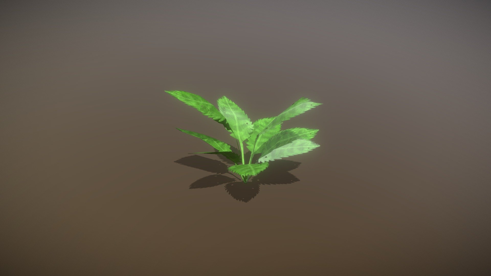 Plant 3D Model