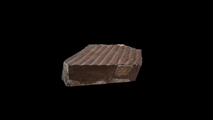 Wave Ripple Mark Cast Example 1 3D Model