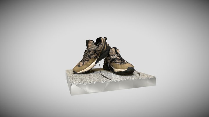 Adidas Camo Trekking Shoes 3D Model