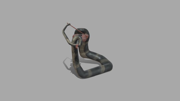 Slithering Symphony 3D Model